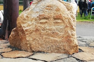 dig