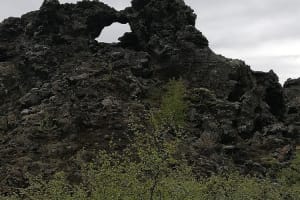 dig