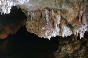 dig